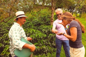 Finca Cafetera, Colombia en una Taza