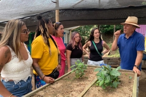 Crecimiento de la Planta