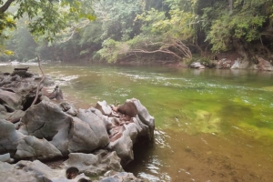 Pristine River