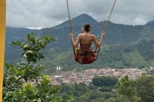 Fliying over Coffee Plantations