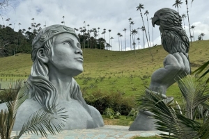 Sitios Fotogénicos en el Valle del Cocora