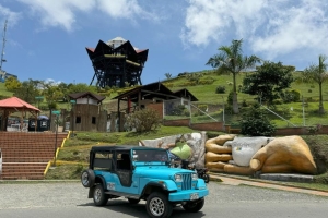 Torre Mirador de Filandia